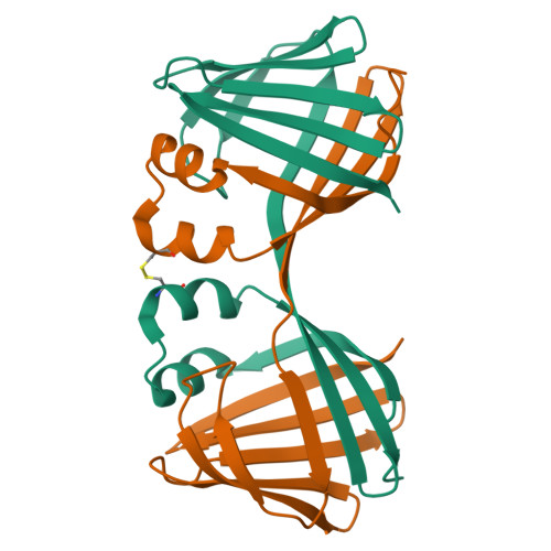 RCSB PDB - 6ON7: Crystal Structure of Apo Domain-Swapped Dimer Q108K ...