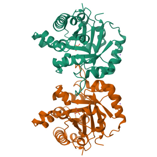 RCSB PDB - 6OOG: Crystal structure of triosephosphate isomerase from ...