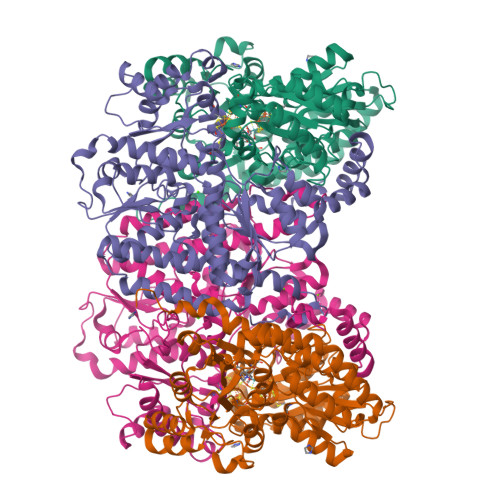 RCSB PDB - 6OP4: Selenium-incorporated, carbon monoxide-inhibited ...