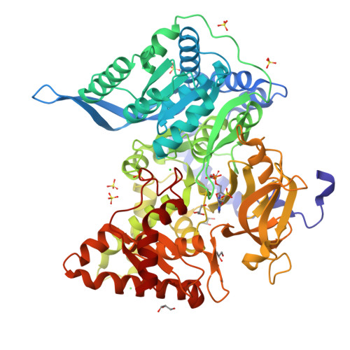 RCSB PDB - 6OZ1: Crystal structure of the adenylation (A) domain of the ...