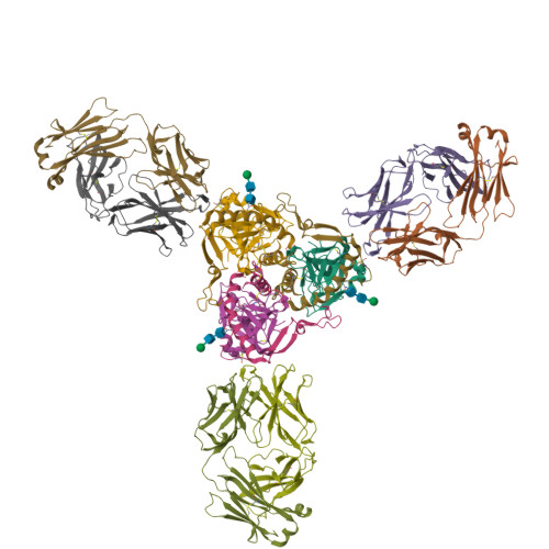 RCSB PDB - 6OZ9: Ebola virus glycoprotein in complex with EBOV-520 Fab