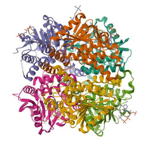 RCSB PDB - 6P5U: Structure Of An Enoyl-CoA Hydratase/aldolase Isolated ...