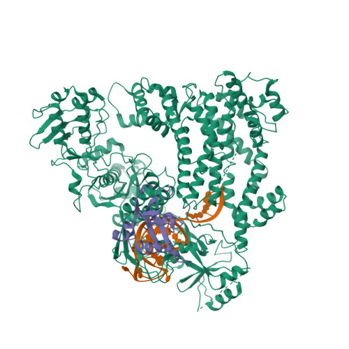 Source omnidirectionnelle CESVA FP122