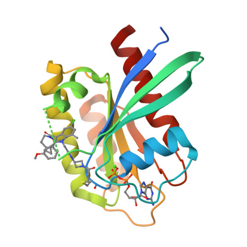 RCSB PDB - 6P8Z: Crystal structure of human KRAS G12C covalently bound ...