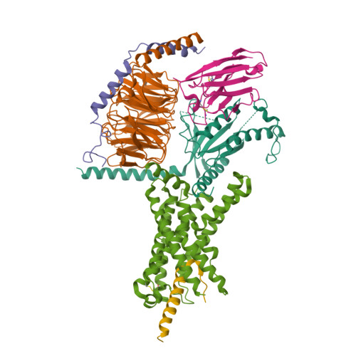 RCSB PDB - 6P9X: CRF1 Receptor Gs GPCR protein complex with CRF1