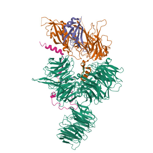 RCSB PDB - 6PAI: Structure of the human DDB1-DDA1-DCAF15 E3 ubiquitin ...