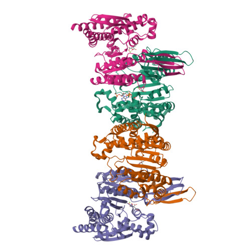 RCSB PDB - 6PAY: Structure of HsICDH1:Mg(II):ICT:NADPH(50