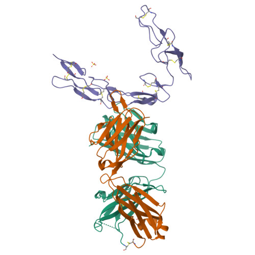 RCSB PDB - 6PE8: Crystal structure of CD40/ABBV-323 FAB complex