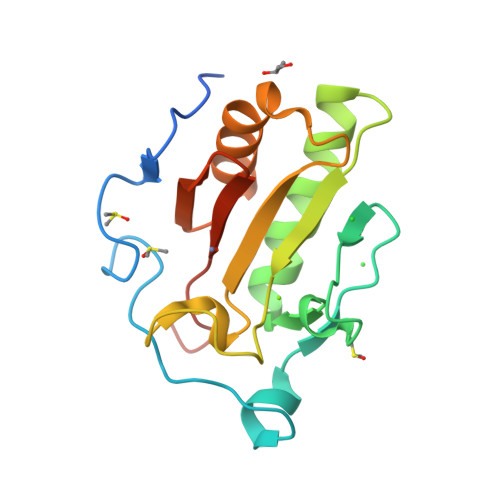 sonic hedgehog protein structure