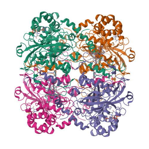 RCSB PDB 6PM7 The structure of the triclinic crystal form of beef