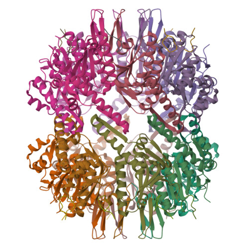 RCSB PDB - 6PPE: ClpP and ClpX IGF loop in ClpX-ClpP complex with D7 ...