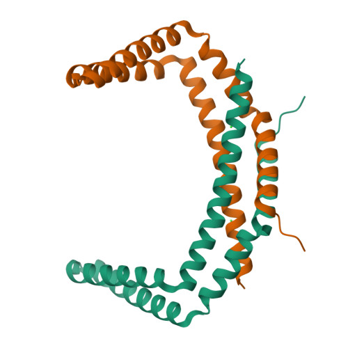 RCSB PDB - 6PRH: X-ray Crystal Structure of Bacillus subtilis RicA