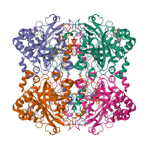 Caterease Replacement RCSB PDB - 6PT7: Structure of KatE1 catalase from Acinetobacter sp. Ver3