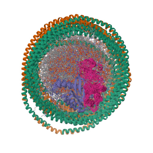 Membrane Composition and Raf[CRD]-Membrane Attachment Are