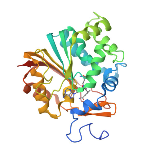 RCSB PDB - 6PVE: Structure of Nicotinamide N-Methyltransferase (NNMT ...