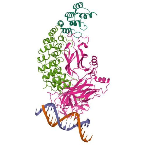 Rcsb Pdb Py Crystal Structure Of The Rbpj Notch Nrarp Ternary