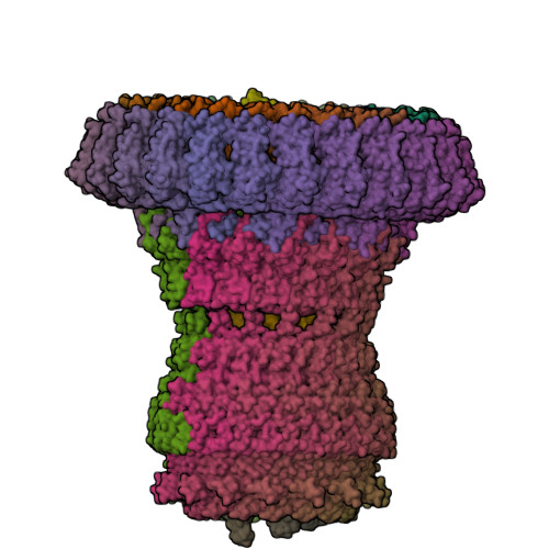 RCSB PDB - 6Q15: Structure of the Salmonella SPI-1 injectisome needle ...
