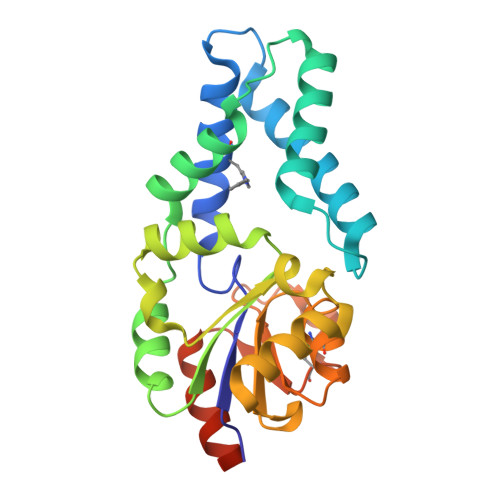 bhq様 RCSB PDB - 6Q7N: Crystal structure of BH32 alkylated with the