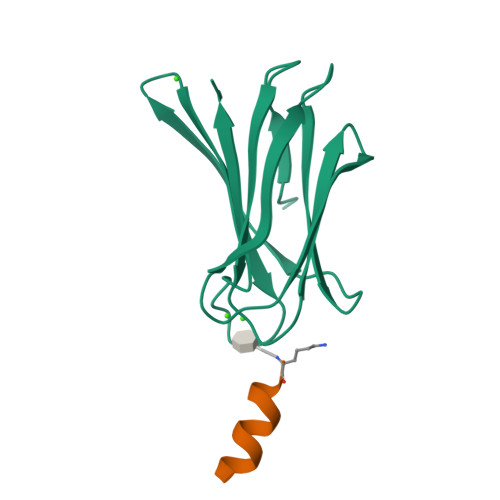 RCSB PDB - 6Q8G: Structure Of Fucosylated D-antimicrobial Peptide SB8 ...