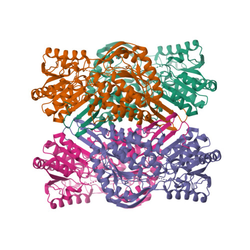 4-trimethylaminobutyraldehyde dehydrogenase structure