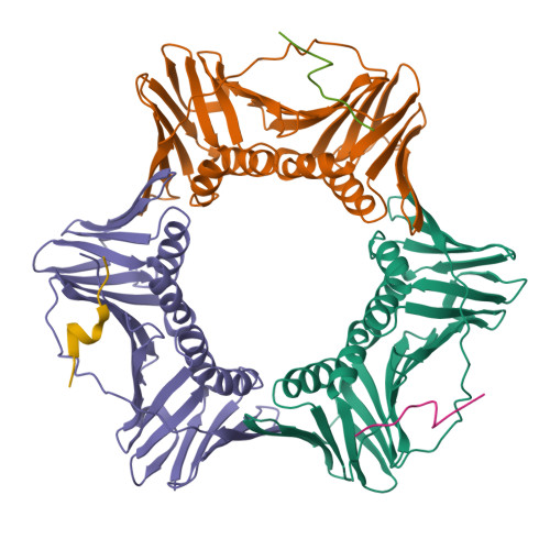 PDB 6QC0