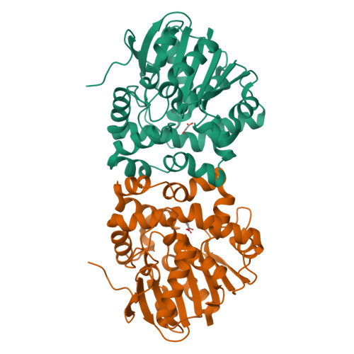 Rcsb Pdb Qhw Time Resolved Structural Analysis Of The Full Turnover Of An Enzyme Ms