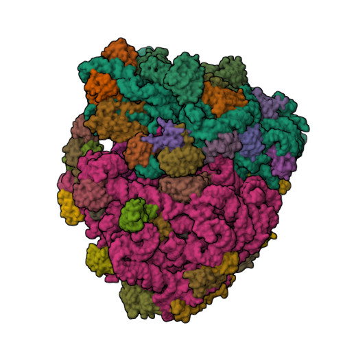 RCSB PDB - 6QNQ: 70S ribosome initiation complex (IC) with
