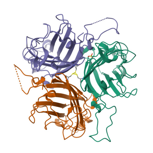 RCSB PDB - 6QPN: Adenovirus species D serotype 49 Fiber-Knob