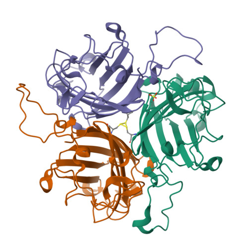 RCSB PDB - 6QPO: Adenovirus species D serotype 49 Fiber-Knob KO1 mutant