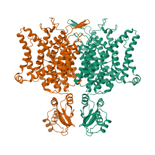 RCSB PDB - 6QVD: CryoEM structure of the human ClC-1 chloride channel ...