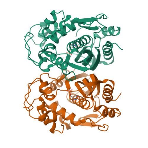 RCSB PDB - 6QXG: Crystal structure of His-tag human thymidylate