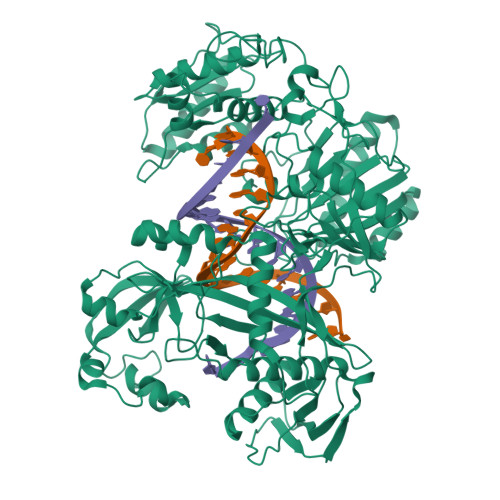 Cu-poページ PE anti-human SUSD2 Antibody anti-SUSD2 - W5C5