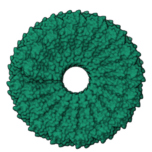 RCSB PDB - 6R7M: Tobacco Mosaic Virus (TMV)