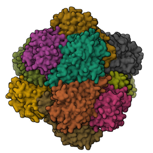 RCSB PDB - 6R8N: STRUCTURE DETERMINATION OF THE TETRAHEDRAL ...