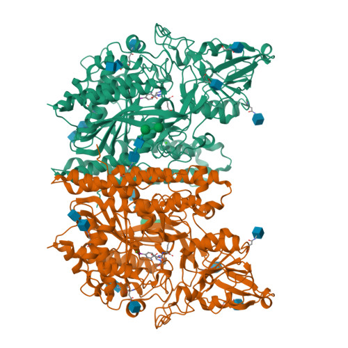 RCSB PDB - 6RBC: X-ray Structure Of Human Glutamate Carboxypeptidase II ...