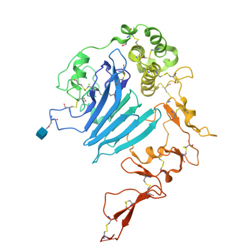 Rcsb Pdb - 6rbf: Mucin 2 D3 Domain