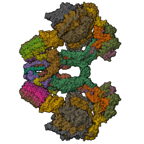 RCSB PDB - 6RD4: CryoEM structure of Polytomella F-ATP synthase