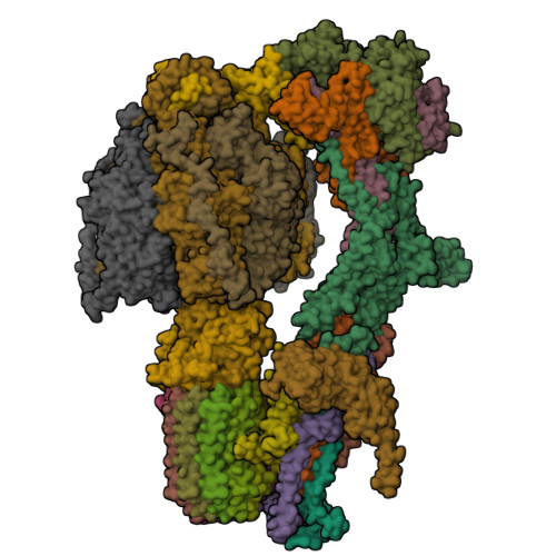 RCSB PDB - 6RDQ: Cryo-EM structure of Polytomella F-ATP synthase ...