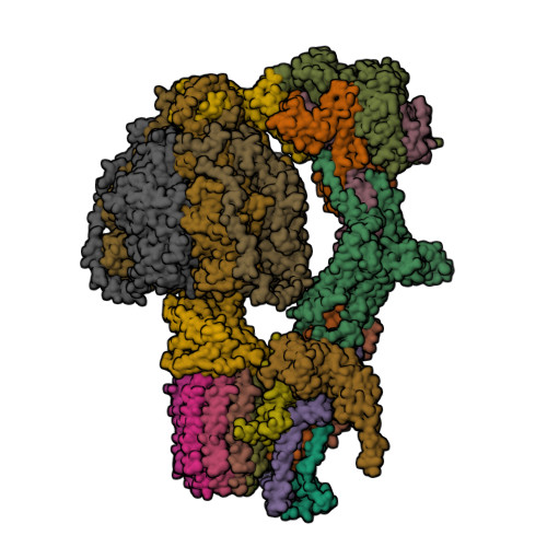 RCSB PDB - 6RE9: Cryo-EM structure of Polytomella F-ATP synthase ...