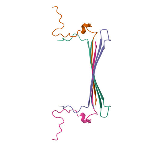 Aβ(1-42) tetramer and octamer structures reveal edge conductivity