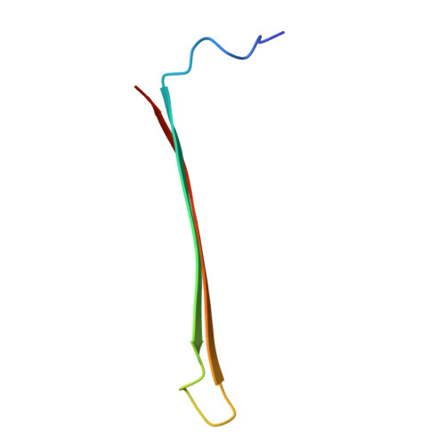 Aβ(1-42) tetramer and octamer structures reveal edge conductivity pores as  a mechanism for membrane damage