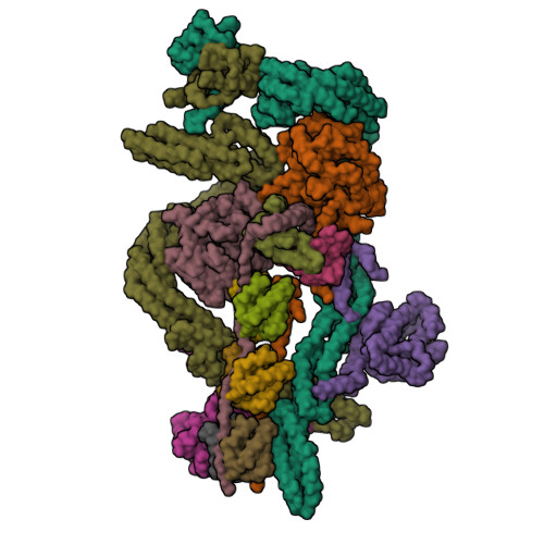 PDB 6RLB