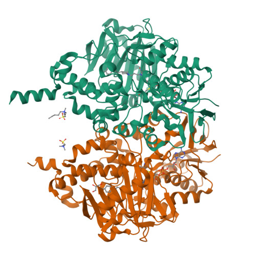 RCSB PDB - 6RLE: Crystal Structure Of Human Monoamine Oxidase B In ...