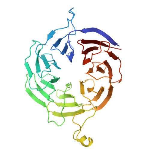 RCSB PDB - 6RM3: Evolutionary compaction and adaptation visualized by ...