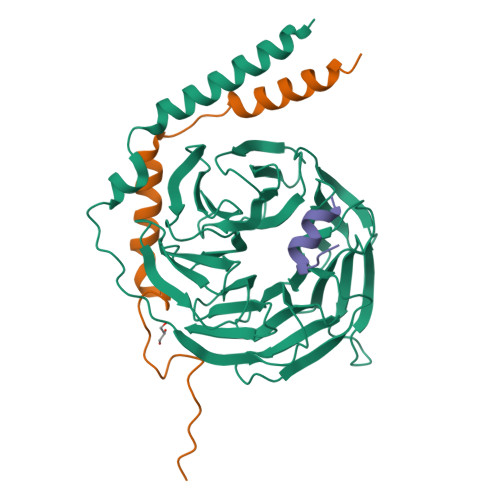 Transient receptor potential cation channel subfamily M member 1 structure