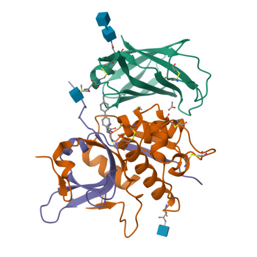 RCSB PDB - 6RN9: DPP1 in complex with inhibitor