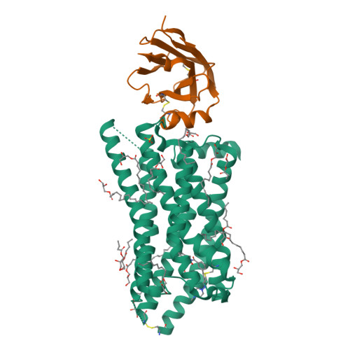 RCSB PDB - 6RNK: Crystal structure of a humanized (K18E, K269N 