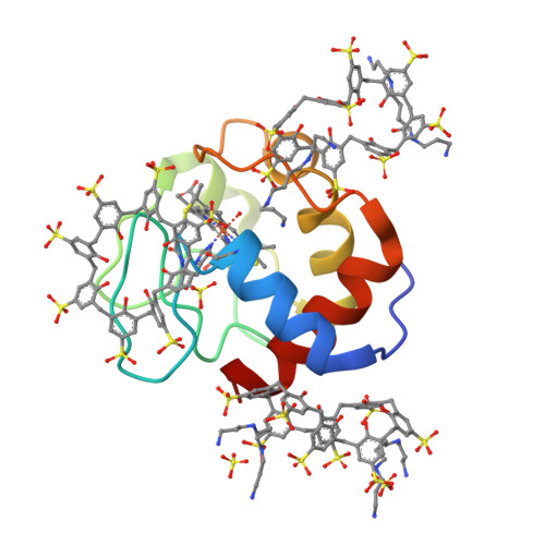 RCSB PDB - 6RSL: Cytochrome c co-crystallized with 10 eq. sulfonato ...