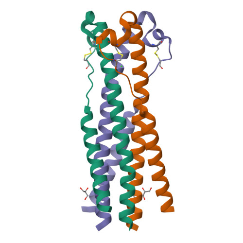 Rcsb Pdb 6rx1 Crystal Structure Of Human Syncytin 1 In Post Fusion Conformation 7351