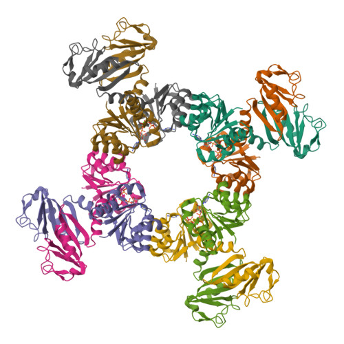 RCSB PDB - 6S5C: Square conformation of KtrA WT ring with bound ATP and ...